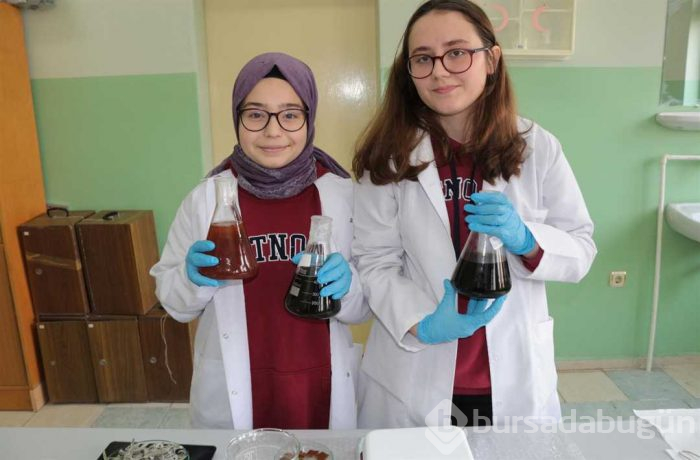 Defneyaprağı, adaçayı ve biberiyeden plastik ürettiler

