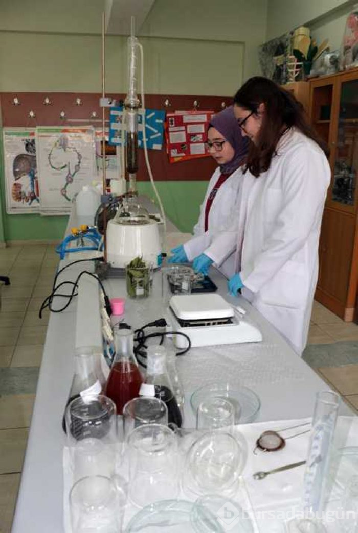 Defneyaprağı, adaçayı ve biberiyeden plastik ürettiler
