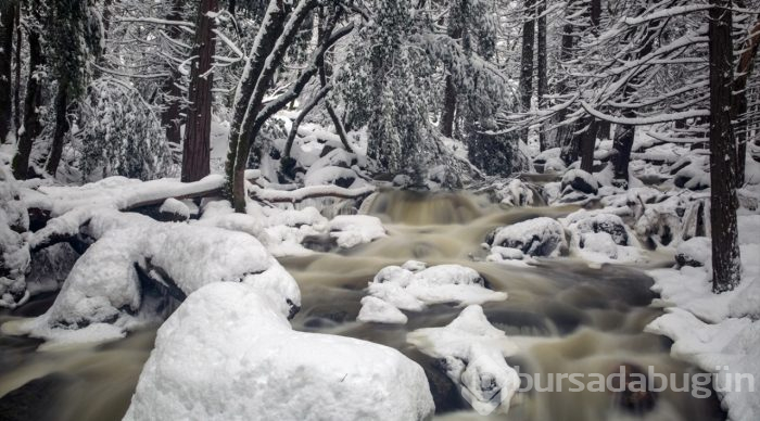 Yosemite Vadisi'nden kış manzaraları

