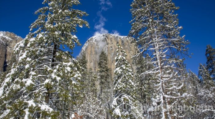 Yosemite Vadisi'nden kış manzaraları
