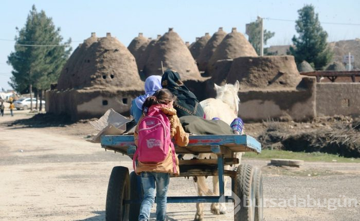 Şanlıurfa'nın mimari harikası: Harran'ın konik kubbeli evleri