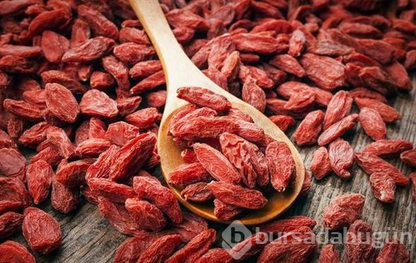 Kendisi küçük, faydası büyük meyve goji berry
