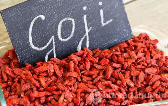 Kendisi küçük, faydası büyük meyve goji berry
