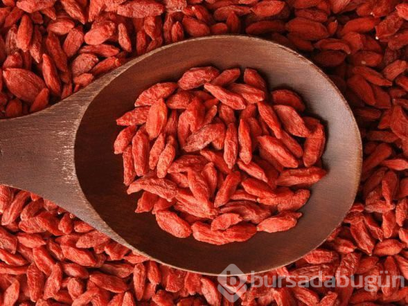 Kendisi küçük, faydası büyük meyve goji berry
