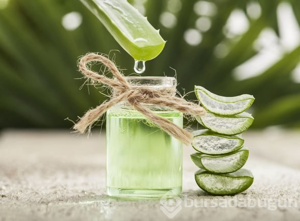 Mucize bitki aloe vera her derde deva oluyor
