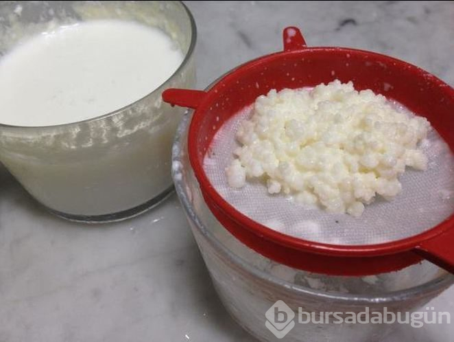 Uzun yaşamın anahtarı kefir nedir ve nasıl yapılır?
