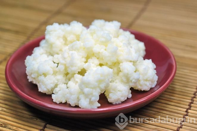 Uzun yaşamın anahtarı kefir nedir ve nasıl yapılır?
