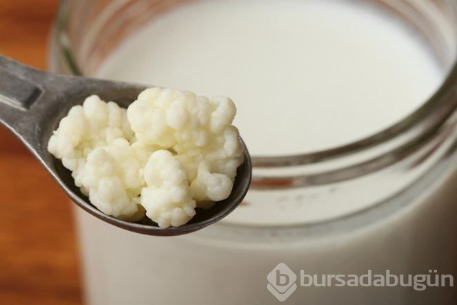 Uzun yaşamın anahtarı kefir nedir ve nasıl yapılır?
