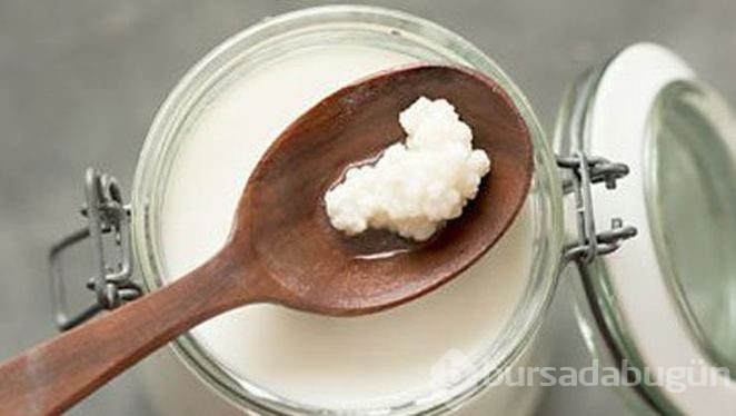 Uzun yaşamın anahtarı kefir nedir ve nasıl yapılır?
