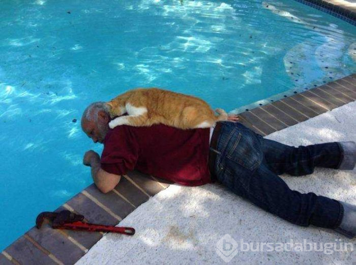 Hayvanların komik halleri
