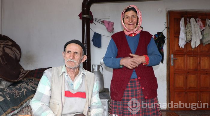 70'lik dede tarlasını kara saban ile sürüyor
