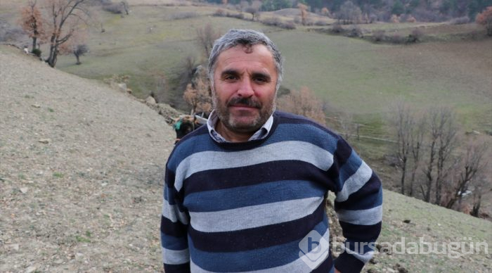 70'lik dede tarlasını kara saban ile sürüyor
