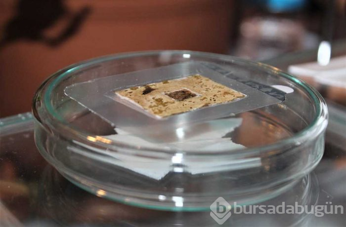 Yaraları 15 dakikada iyileştiren 'organik yara bandı' üretildi

