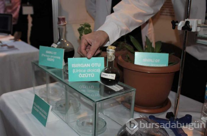 Yaraları 15 dakikada iyileştiren 'organik yara bandı' üretildi
