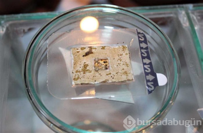 Yaraları 15 dakikada iyileştiren 'organik yara bandı' üretildi
