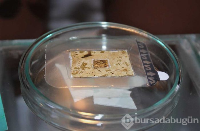 Yaraları 15 dakikada iyileştiren 'organik yara bandı' üretildi

