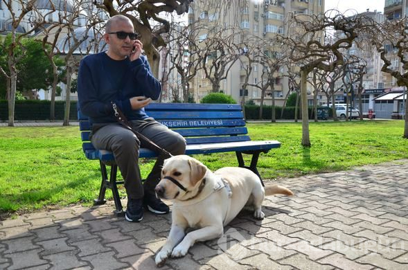 "Bobby" görme engelli gazinin hayatını değiştirdi
