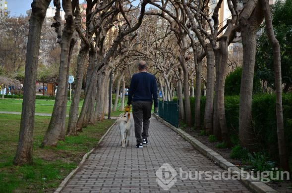 "Bobby" görme engelli gazinin hayatını değiştirdi
