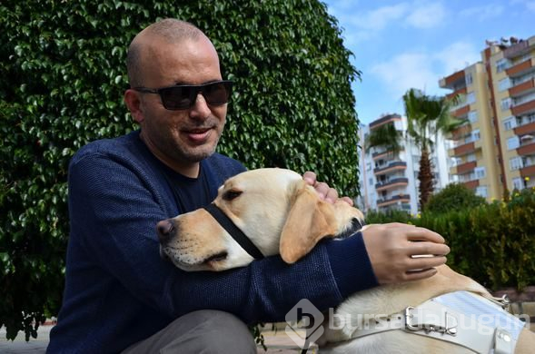"Bobby" görme engelli gazinin hayatını değiştirdi
