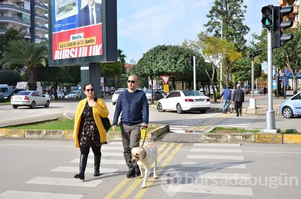 "Bobby" görme engelli gazinin hayatını değiştirdi
