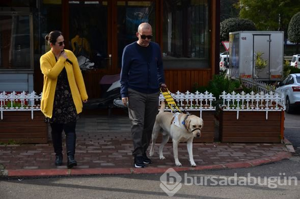 "Bobby" görme engelli gazinin hayatını değiştirdi
