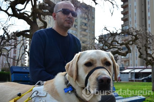 "Bobby" görme engelli gazinin hayatını değiştirdi
