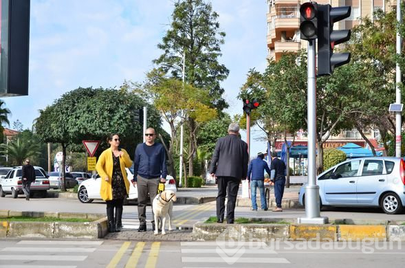 "Bobby" görme engelli gazinin hayatını değiştirdi
