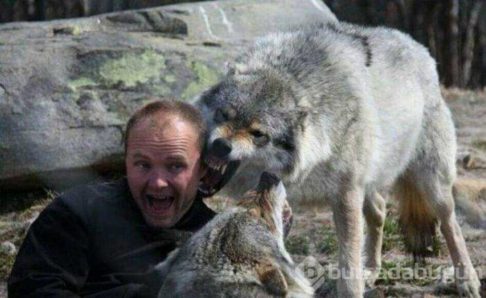 Günün en çok paylaşılan fotoğrafları (28.02.2019)