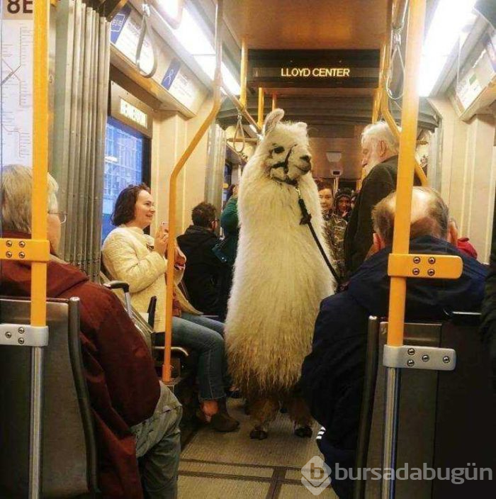 Günün en çok paylaşılan fotoğrafları (28.02.2019)