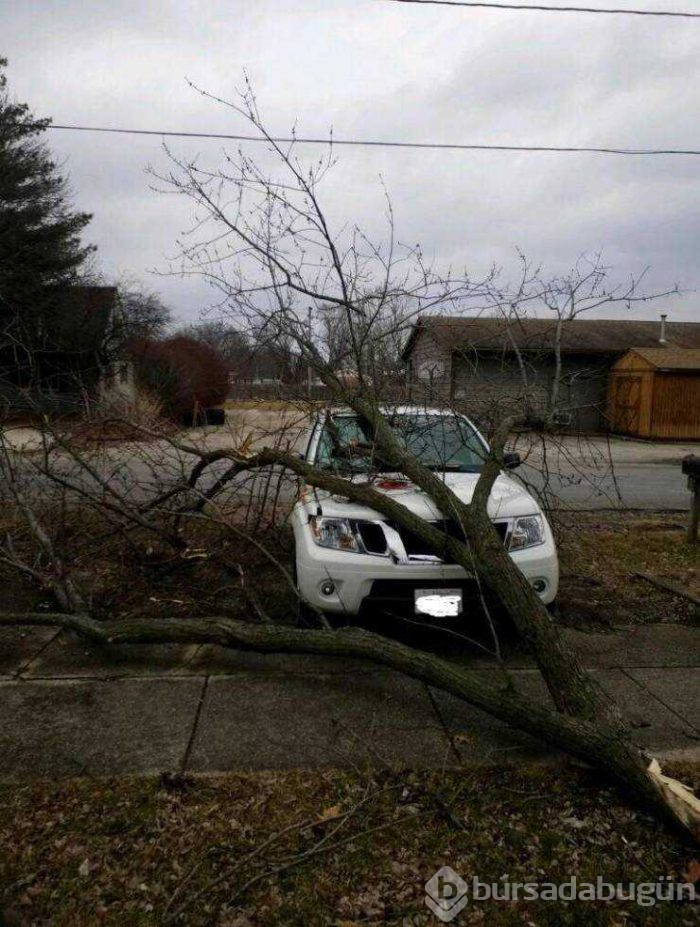 Günün en çok paylaşılan fotoğrafları (28.02.2019)