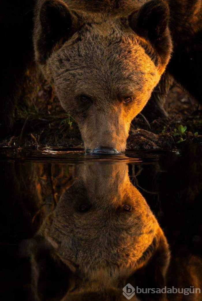 Günün en çok paylaşılan fotoğrafları (28.02.2019)