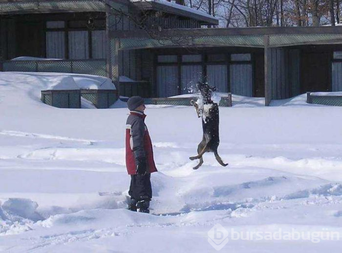 Günün en çok paylaşılan fotoğrafları (28.02.2019)