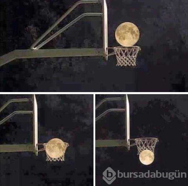 Günün en çok paylaşılan fotoğrafları (28.02.2019)
