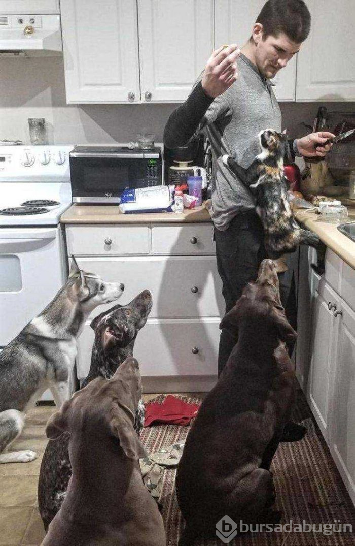 Günün en çok paylaşılan fotoğrafları (28.02.2019)