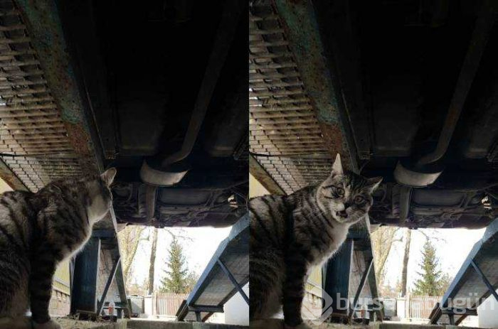 Günün en çok paylaşılan fotoğrafları (28.02.2019)