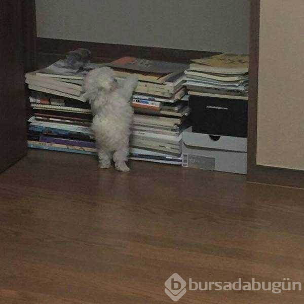 Günün en çok paylaşılan fotoğrafları (28.02.2019)