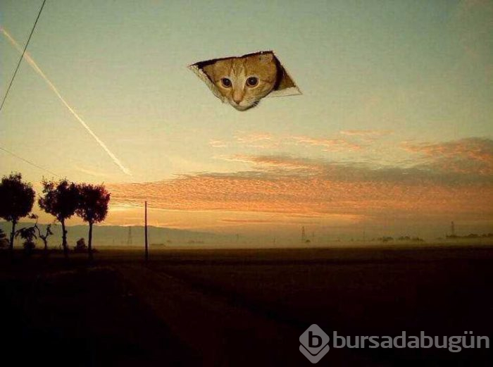 Günün en çok paylaşılan fotoğrafları (28.02.2019)