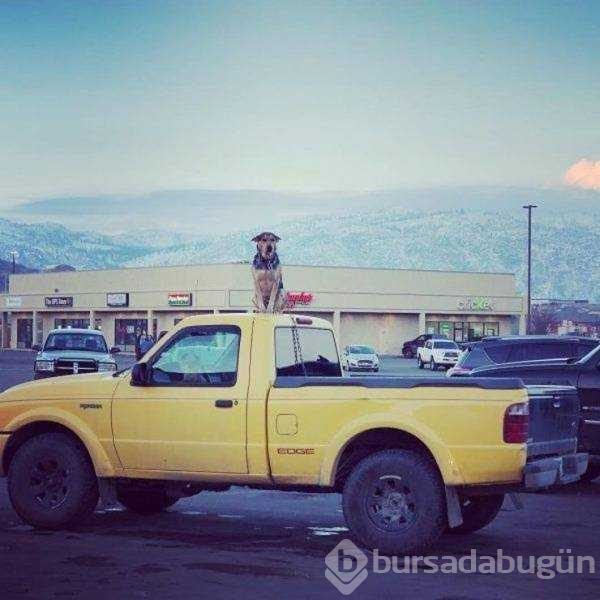 Günün en çok paylaşılan fotoğrafları (28.02.2019)