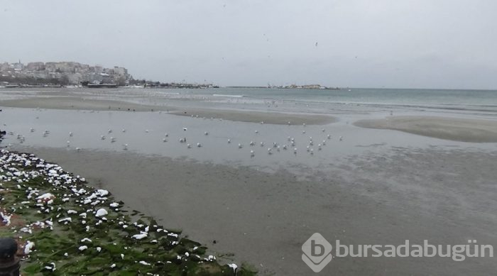 Silivri'de deniz yaklaşık 150 metre çekildi