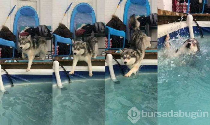 Günün en çok paylaşılan fotoğrafları (01.03.2019)