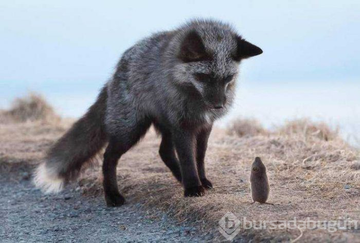 Günün en çok paylaşılan fotoğrafları (01.03.2019)