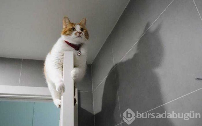 Günün en çok paylaşılan fotoğrafları (01.03.2019)