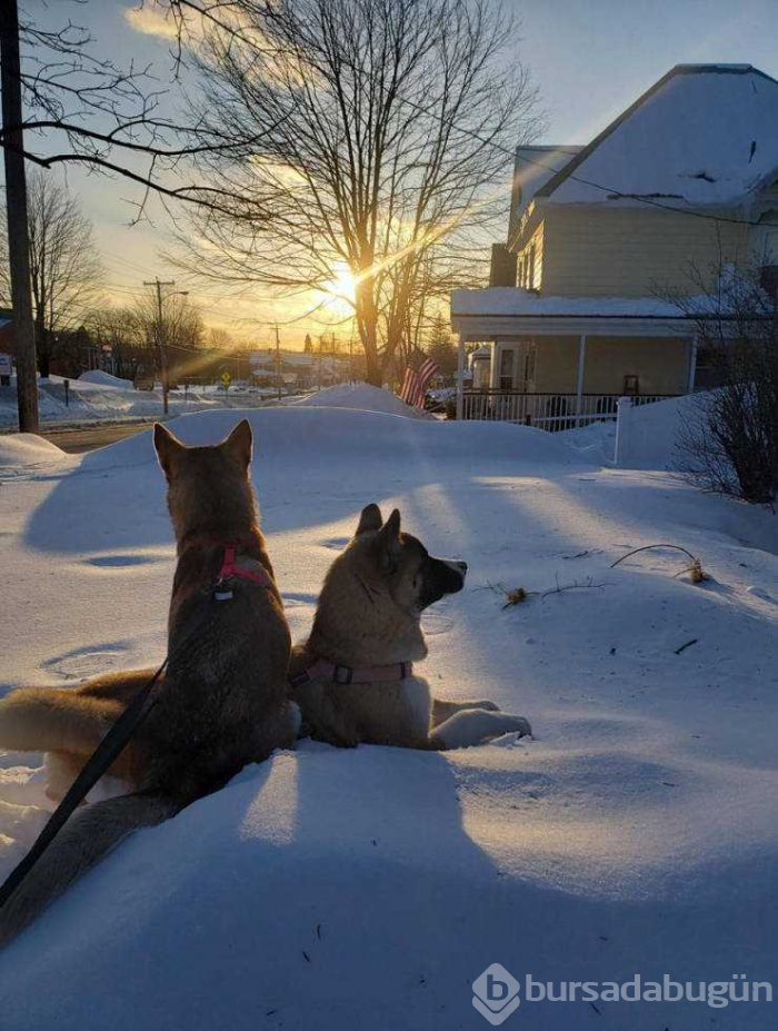 Günün en çok paylaşılan fotoğrafları (01.03.2019)