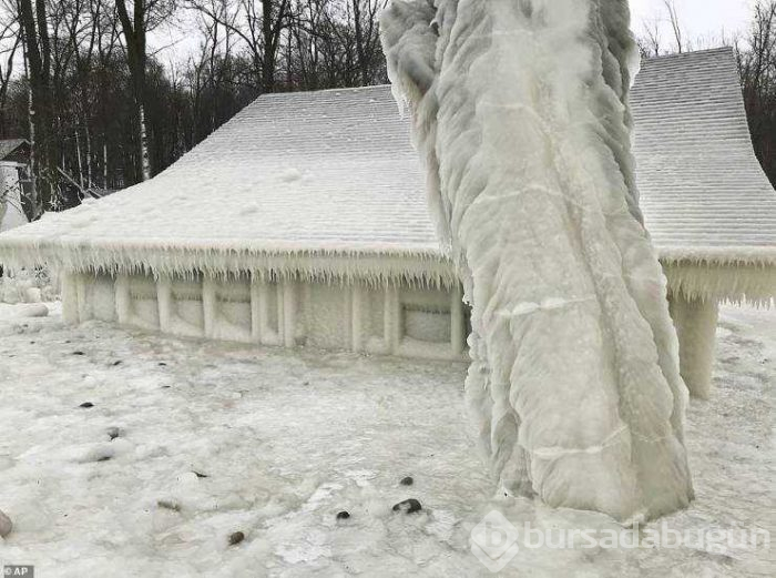 Günün en çok paylaşılan fotoğrafları (01.03.2019)
