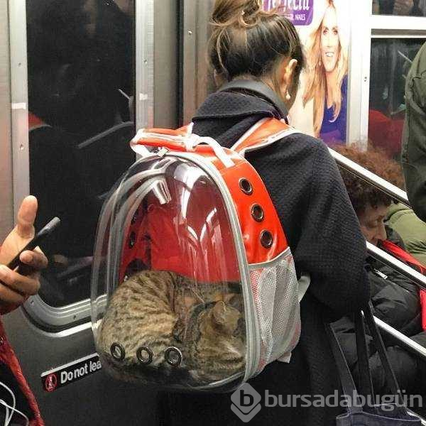 Günün en çok paylaşılan fotoğrafları (01.03.2019)