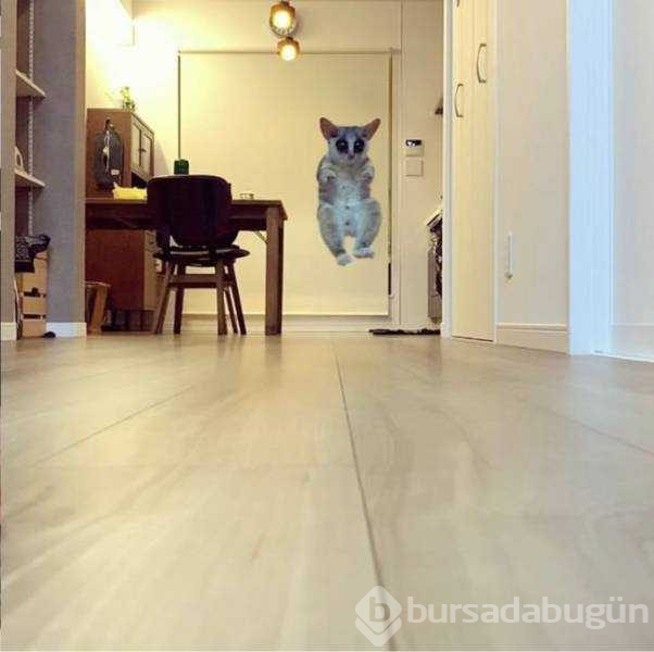 Günün en çok paylaşılan fotoğrafları (01.03.2019)