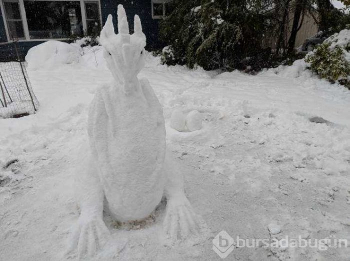Günün en çok paylaşılan fotoğrafları (01.03.2019)
