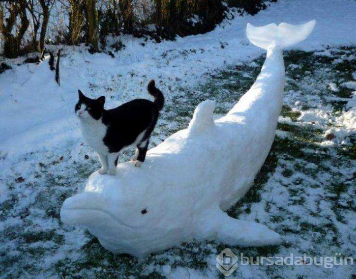 Günün en çok paylaşılan fotoğrafları (01.03.2019)
