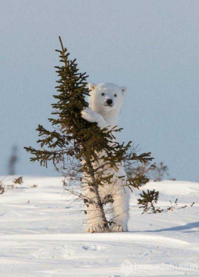 Günün en çok paylaşılan fotoğrafları (01.03.2019)