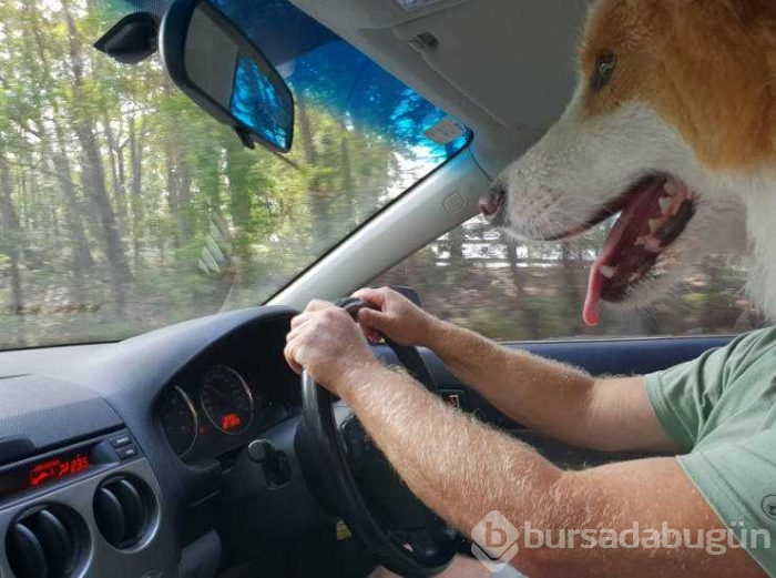 Günün en çok paylaşılan fotoğrafları (01.03.2019)